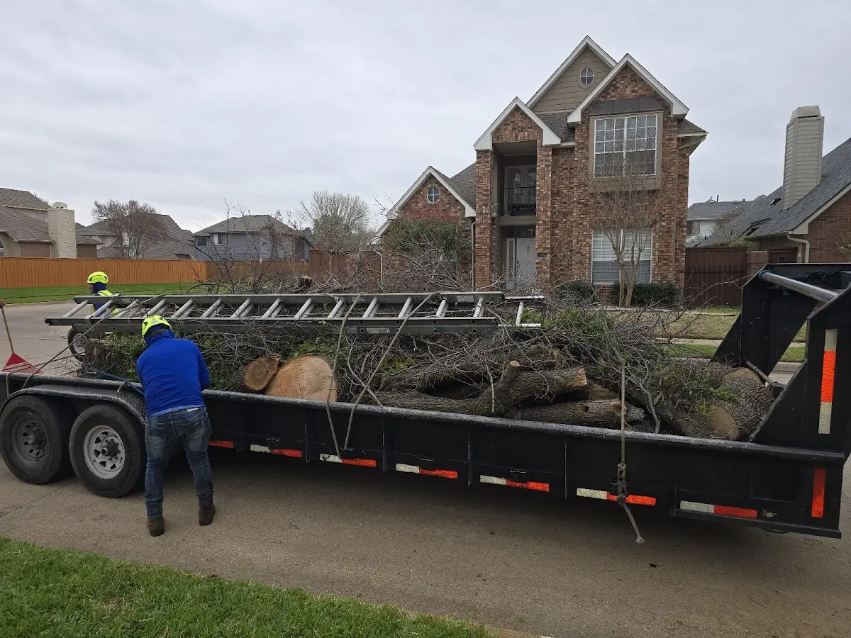 Expert Lot Clearing with proper safety equipment in Chalmers